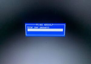 bios